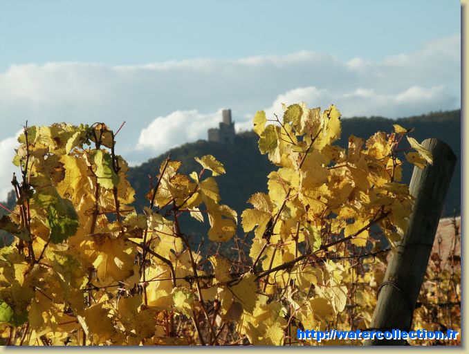 Diapositive suivante